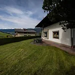 Braun 1