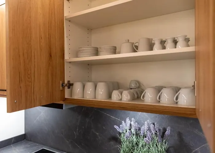 Braun 1 * كابرون